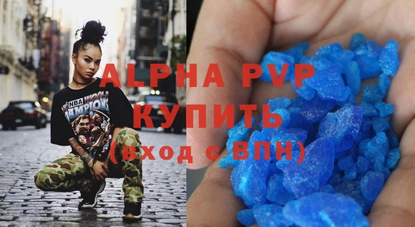 бошки Гусев