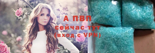 бошки Гусев