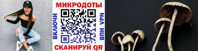 blacksprut tor  Москва  Псилоцибиновые грибы Psilocybine cubensis  как найти закладки 